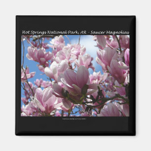 Hot Springs Nationalpark AR Saucer Magnoia - Gesch Magnet