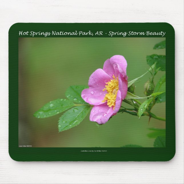Hot Springs Nationalpark, AR Wild Rose Geschenke Mousepad (Vorne)
