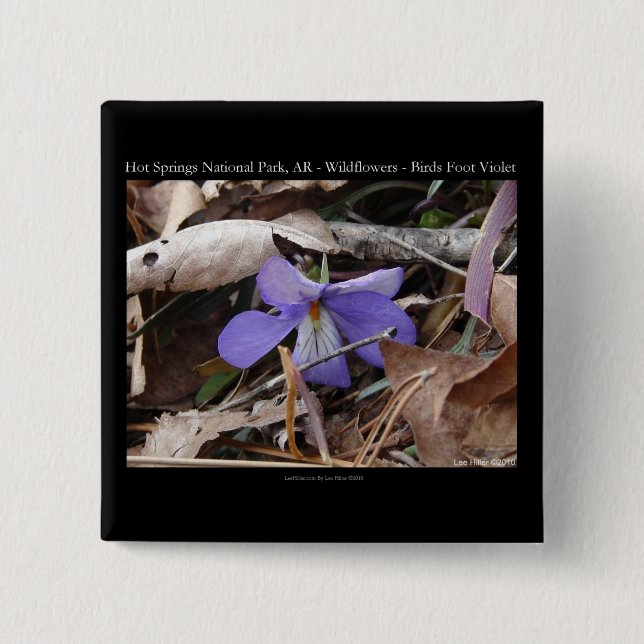 Hot Springs Nationalpark, AR Wilde Violets Geschen Button (Vorderseite)