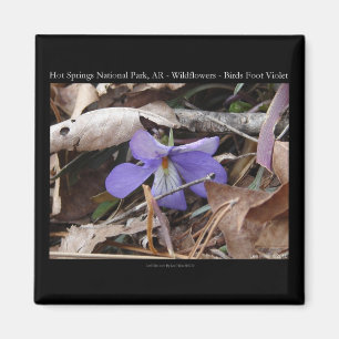 Hot Springs Nationalpark, AR Wilde Violets Geschen Magnet