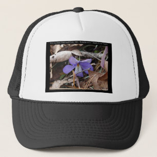 Hot Springs Nationalpark, AR Wilde Violets Geschen Truckerkappe