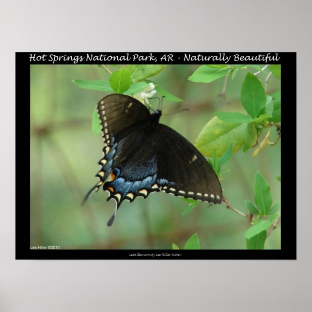 Hot Springs Nationalpark Frack Butterfly Poster (Vorne)