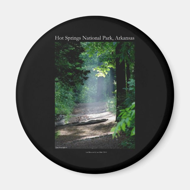 Hot Springs Nationalpark Tote Haupttracht Geschenk Magnet (Vorne)
