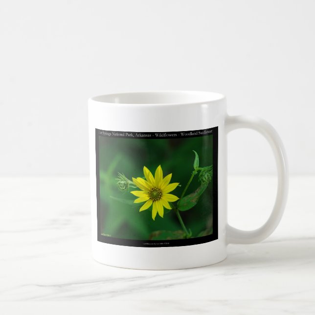 Hot Springs Nationalpark Waldland Sonnenblumengesc Kaffeetasse (Rechts)