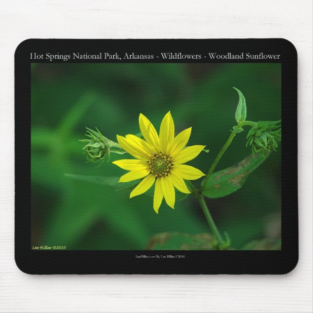 Hot Springs Nationalpark Waldland Sonnenblumengesc Mousepad (Vorne)