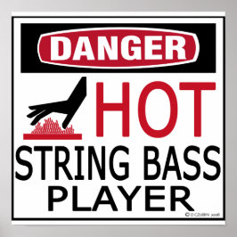 Hot String Bass Player Poster