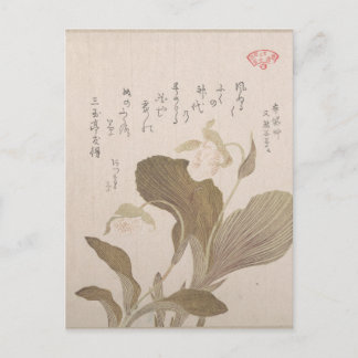 Hotei Blume - Kubo Shunman (Japanisch) Postkarte