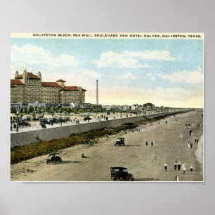 Hotel Galvez, Galveston, Texas 1924 Vintag Poster