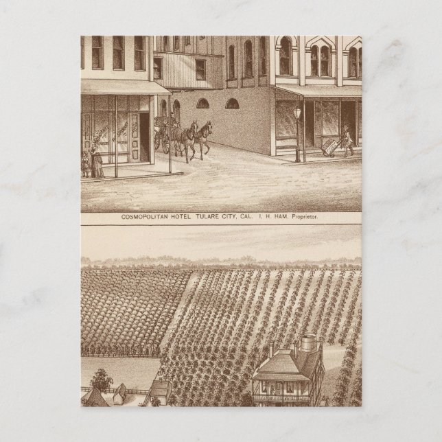Hotel, Weinberg, Tulare Postkarte (Vorderseite)