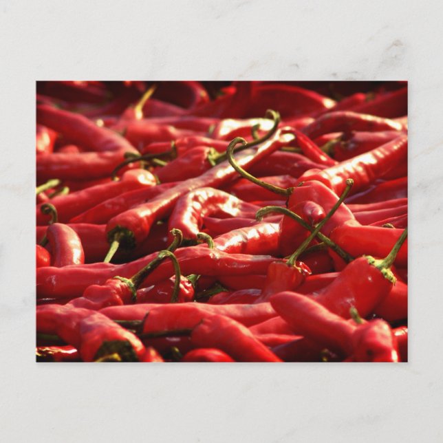 Hotness - Red Hot Chiles Postkarte (Vorderseite)