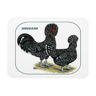 Houdan Chickens Magnet