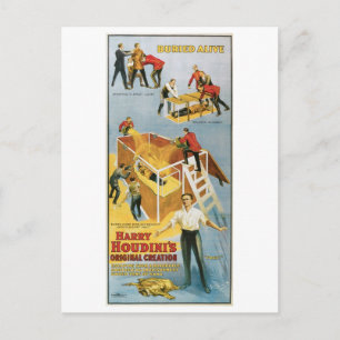 Houdini ~ Lebendig Begraben Vintage Entfesslungskü Postkarte
