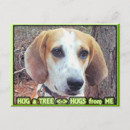 Hound Dog Tree Hugger Postkarte