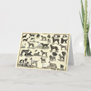 Hounds - Hunderassen für Hunde Liebhaber canine ho Karte