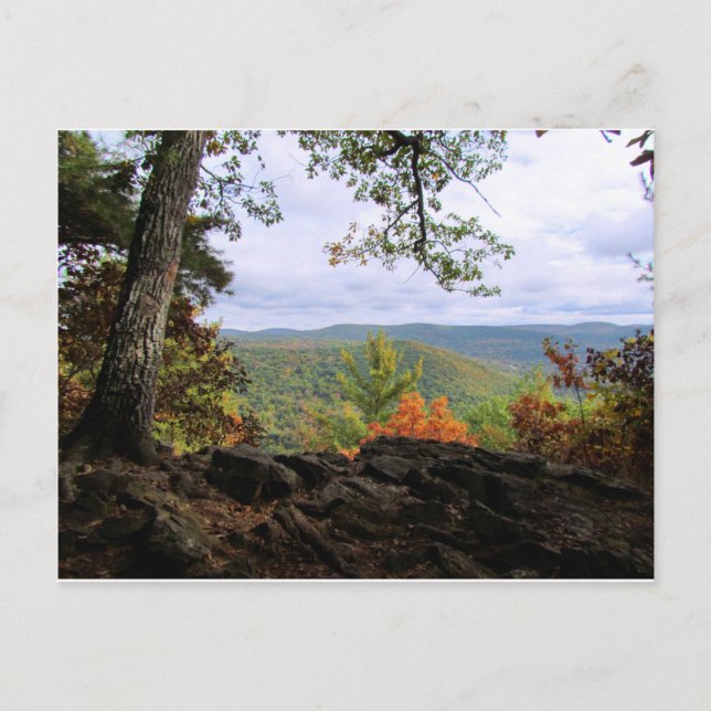 Housatonic Meadows State Park Postkarte (Vorderseite)