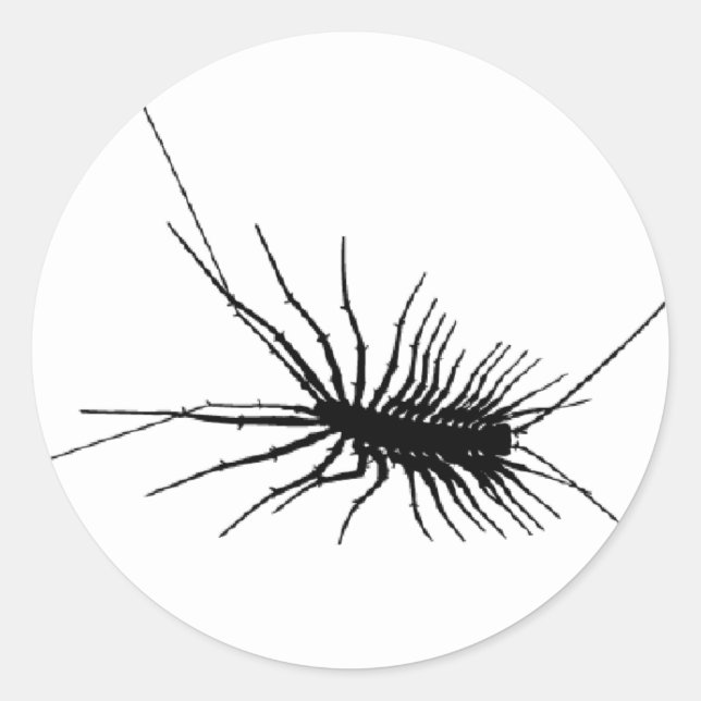 House Centipede Black Beängstigend Bug Insekt Gros Runder Aufkleber (Vorderseite)