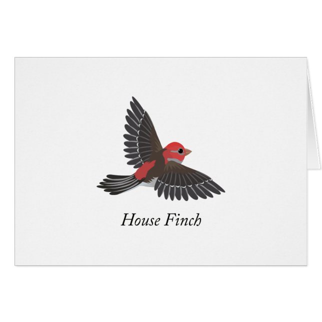 House Finch (Vorderseite (Horizontal))
