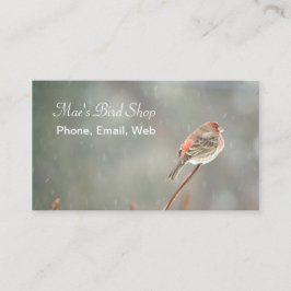 House Finch auf einer Zweigniederlassung Visitenkarte