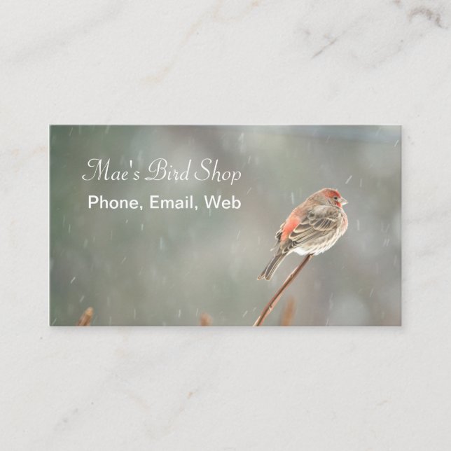 House Finch auf einer Zweigniederlassung Visitenkarte (Vorderseite)
