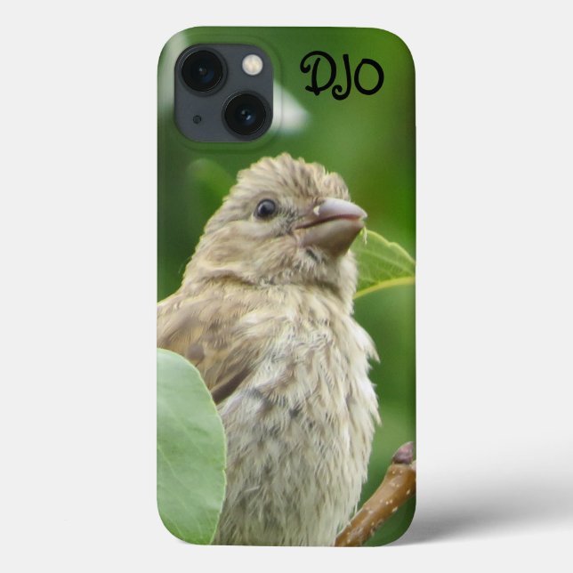 House Finch Bird Personalisiert Case-Mate iPhone Hülle (Rückseite)