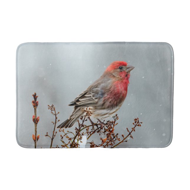 House Finch in Snow - Original Foto Badematte (Vorderseite)
