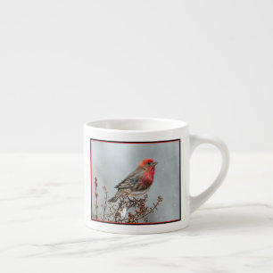 House Finch in Snow - Original Foto Espressotasse