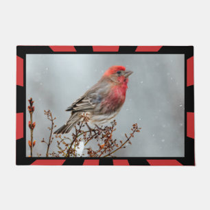 House Finch in Snow - Original Foto Fußmatte