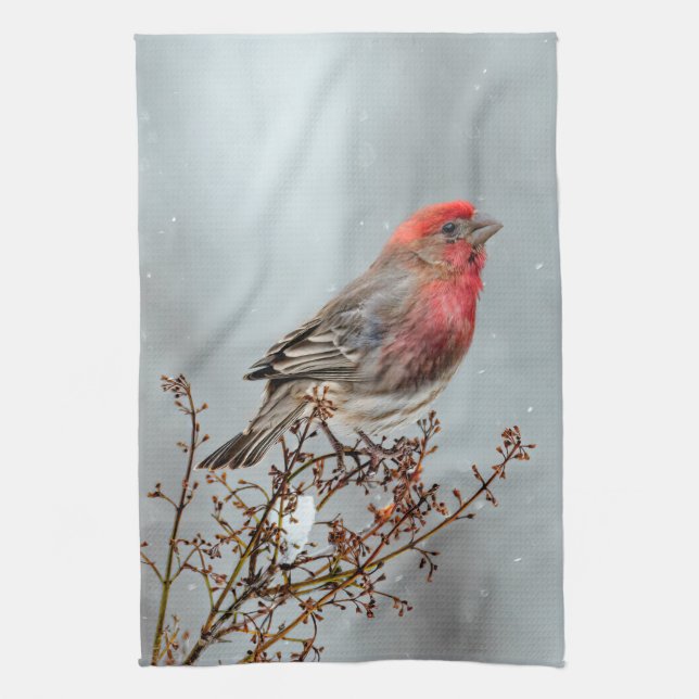 House Finch in Snow - Original Foto Geschirrtuch (Vertikal)