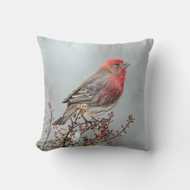 House Finch in Snow - Original Foto Kissen (Vorderseite)