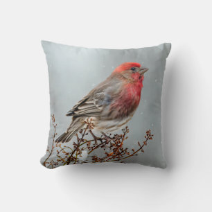 House Finch in Snow - Original Foto Kissen