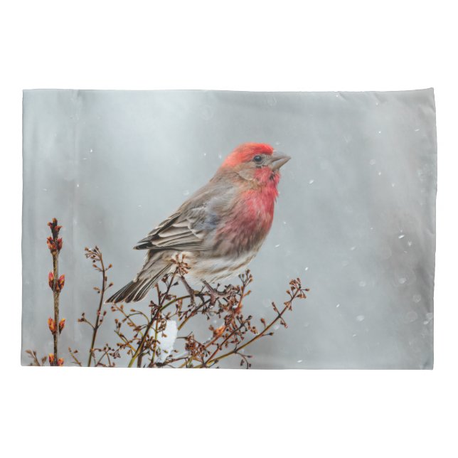 House Finch in Snow - Original Foto Kissenbezug (Rückseite)