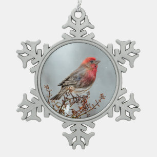 House Finch in Snow - Original Foto Schneeflocken Zinn-Ornament