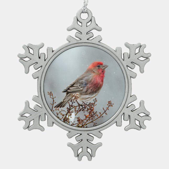 House Finch in Snow - Original Foto Schneeflocken Zinn-Ornament (Vorderseite)