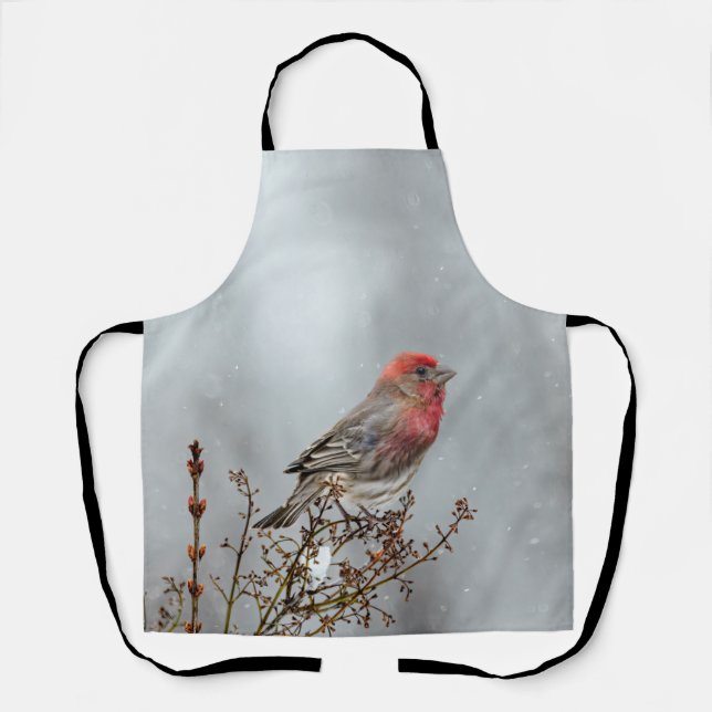 House Finch in Snow - Original Foto Schürze (Vorderseite)