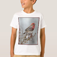 House Finch in Snow - Original Foto
