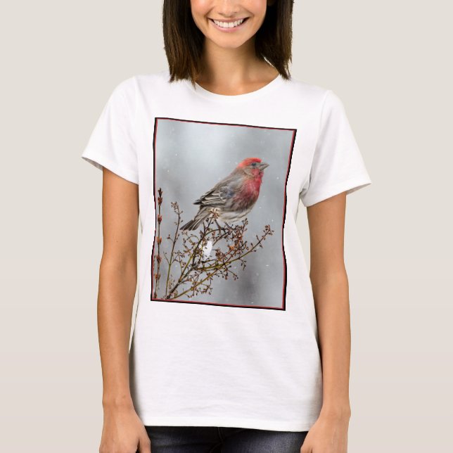 House Finch in Snow - Original Foto T-Shirt (Vorderseite)