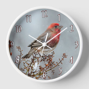 House Finch in Snow - Original Foto Uhr