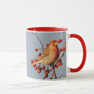House Finch mit Hawthorn Berries Tasse