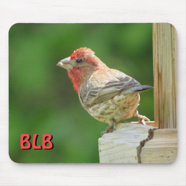 House Finch mit Ihren Initialen Mousepad (Vorne)