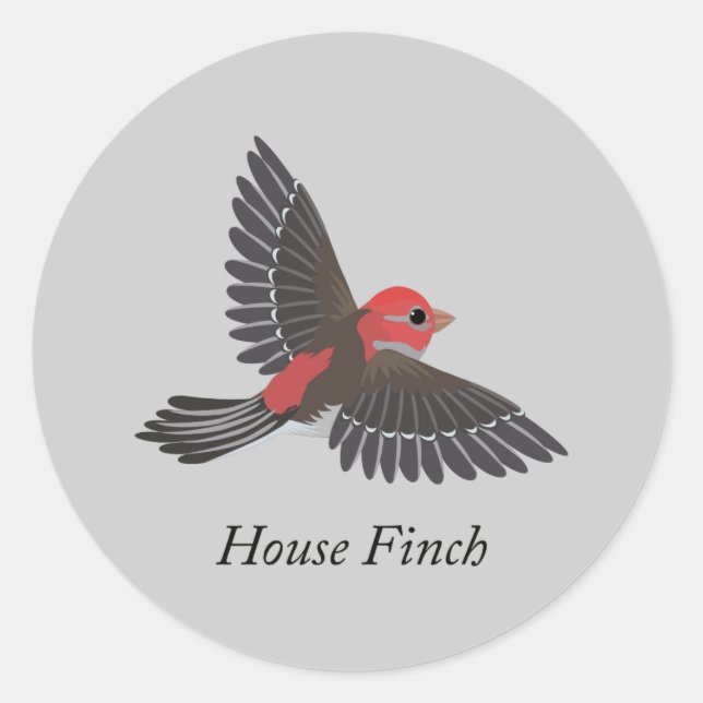House Finch Runder Aufkleber (Vorderseite)