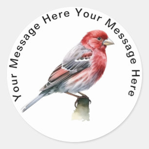 House Finch Runder Aufkleber