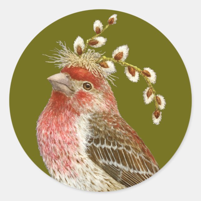 House finch sticker (Vorderseite)