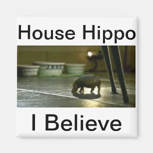 House Hippo Magnet