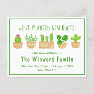 House Pflanze Cactus White New Zuhause Postcard Postkarte