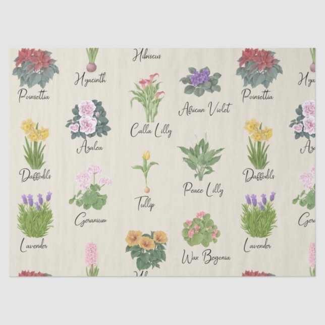 House Pflanze und ihre Namen - Niedlich Minimal Mo Seidenpapier (Vorderseite)