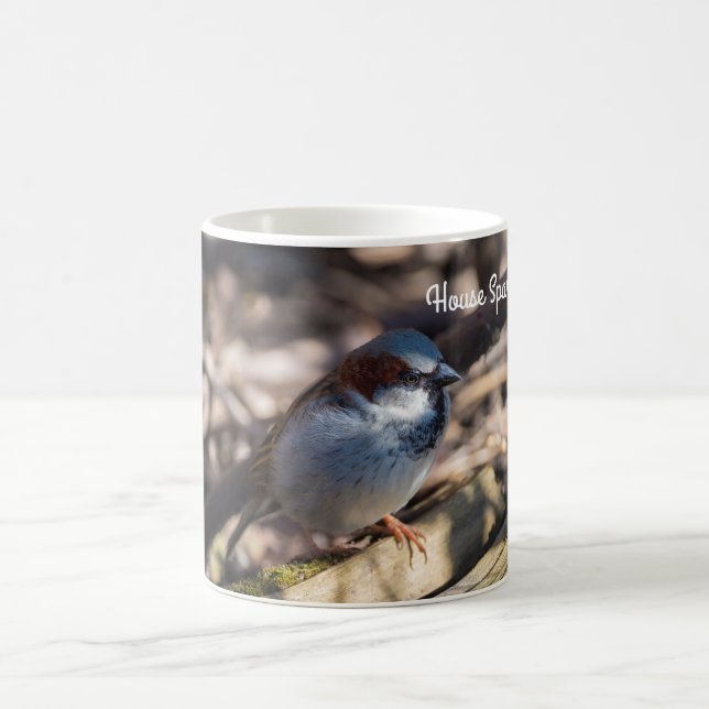 House Sparrow Kaffeetasse (Mittel)