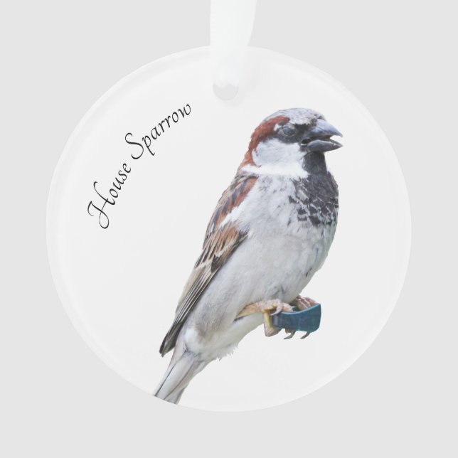 House Sparrow Ornament (Vorderseite)