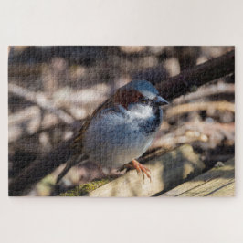 House Sparrow Puzzle