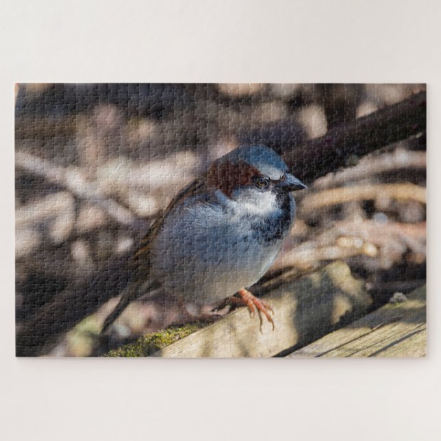 House Sparrow Puzzle (Horizontal)