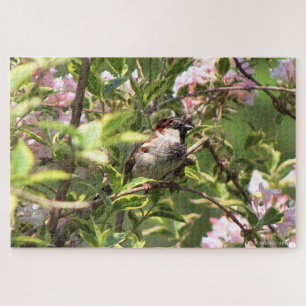 House Sparrow Puzzle